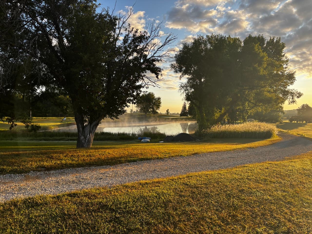The tree-lined driveway at Collison Par 3